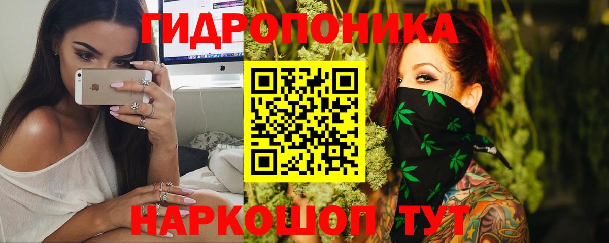 Конопля OG Kush Сергиев Посад